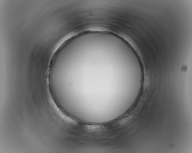 X0000112870853200909111531