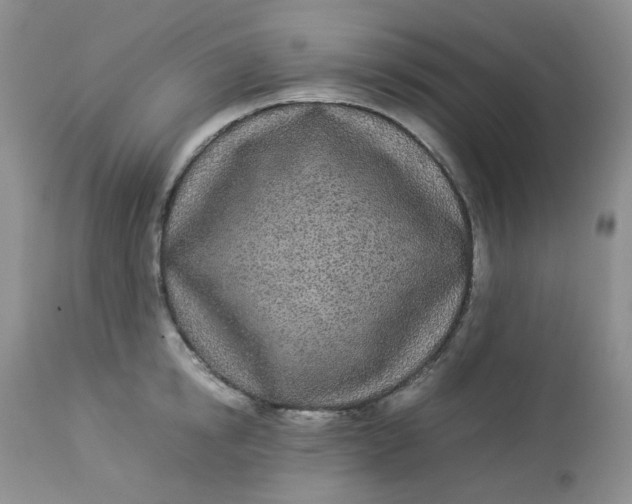 X0000112870854200909111531