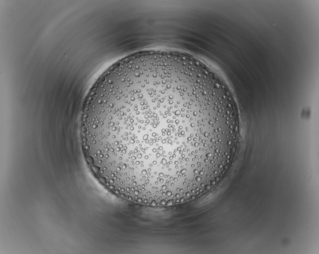 X0000112870855200909111531