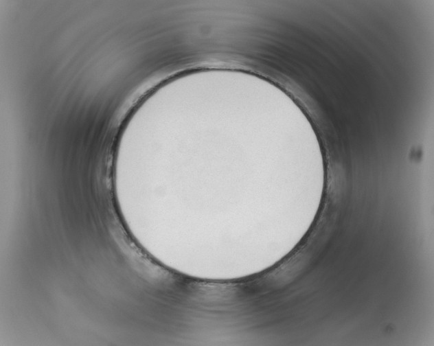 X0000112870856200909111531