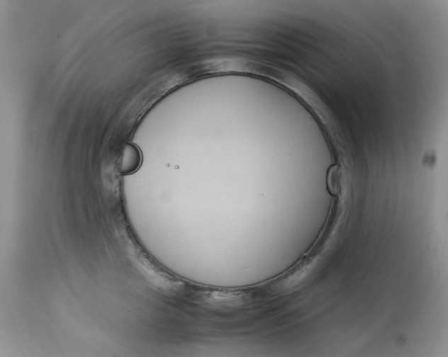 X0000112870857200909111531