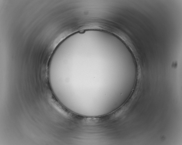 X0000112870858200909111531