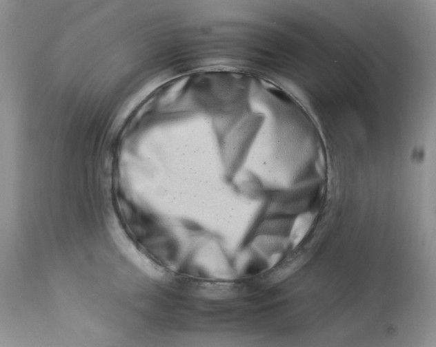 X0000112870859200909111531