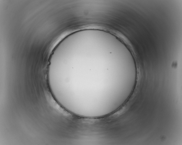 X0000112870860200909111531