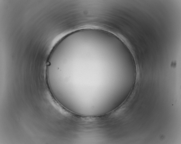 X0000112870862200909111531