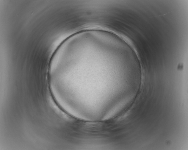 X0000112870863200909111531