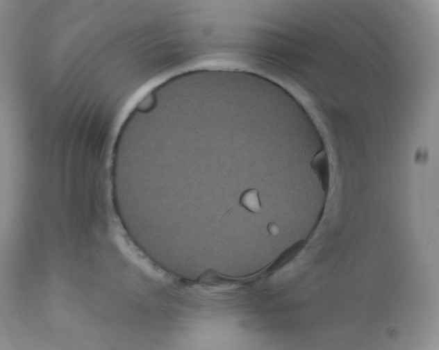 X0000112870864200909111531