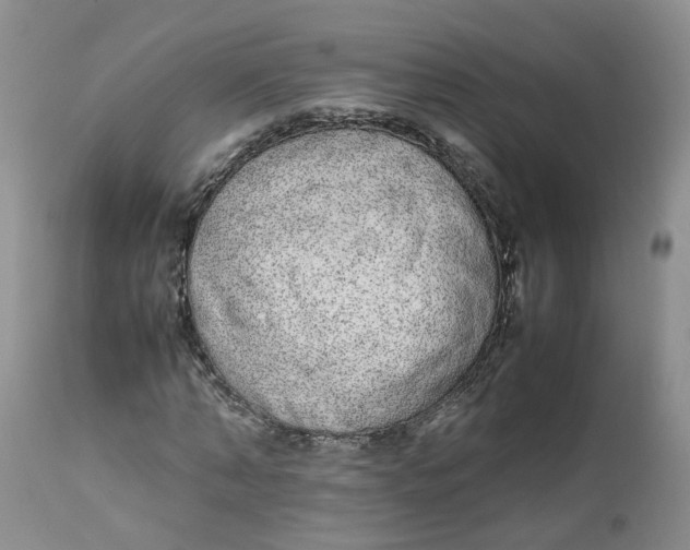 X0000112870870200909111530