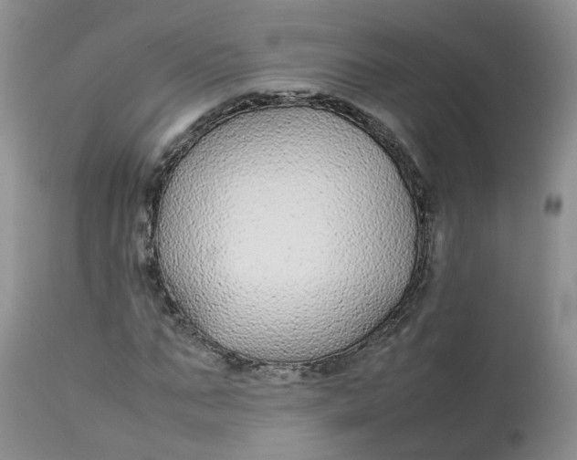 X0000112870871200909111530