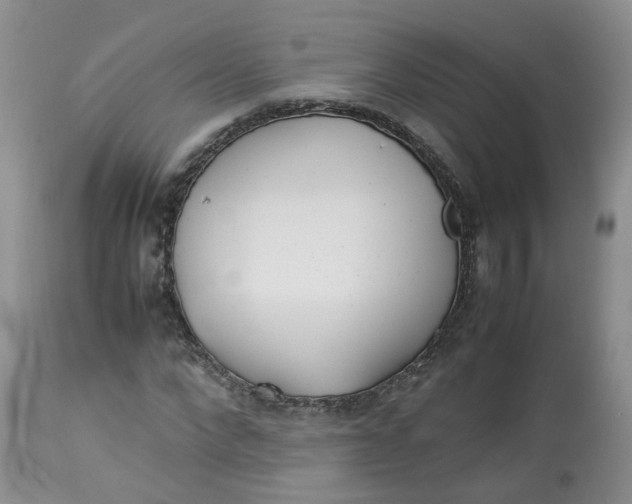 X0000112870872200909111530