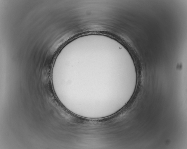 X0000112870873200909111530