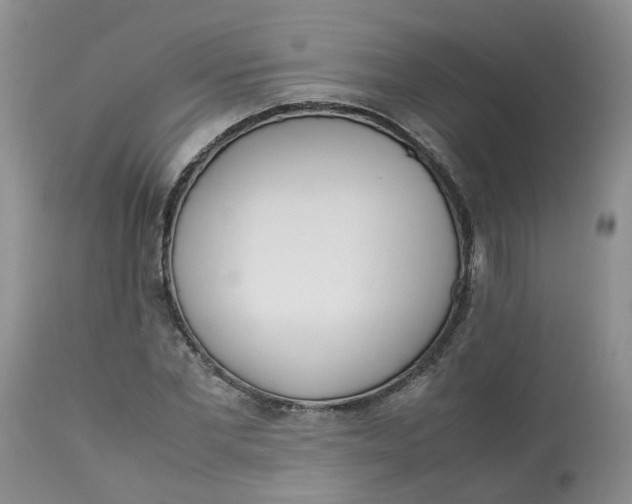 X0000112870877200909111530