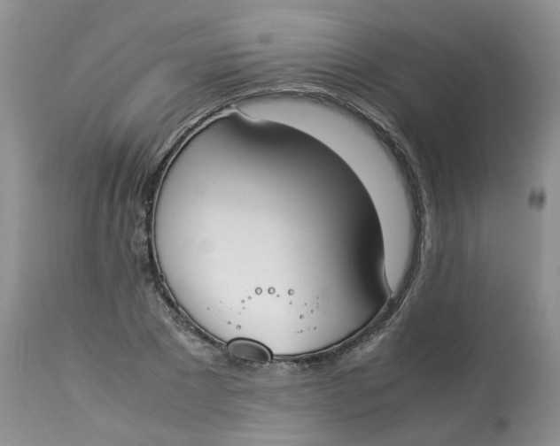 X0000112870881200909111530