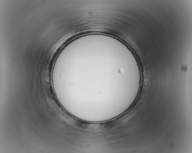 X0000112870883200909111530