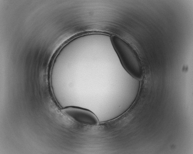 X0000112870884200909111530