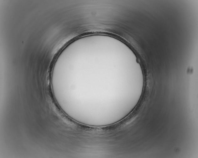 X0000112870885200909111530