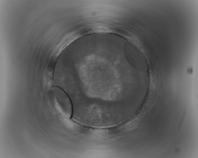 X0000112870889200909111530