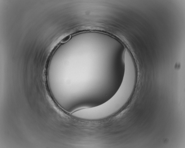 X0000112870893200909111530