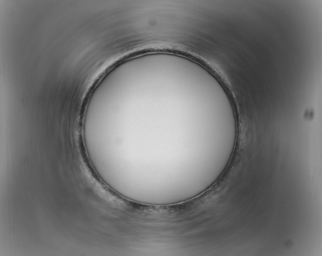 X0000112870895200909111530