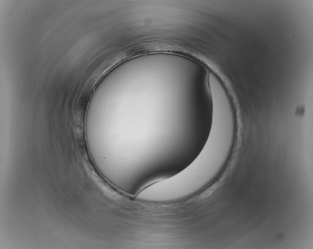 X0000112870897200909111530