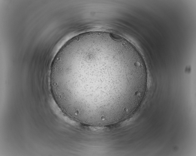 X0000112870899200909111530