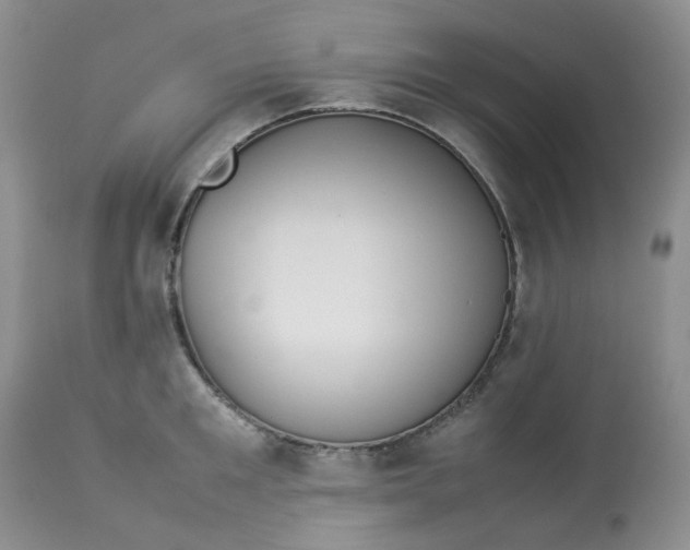 X0000112870901200909111530