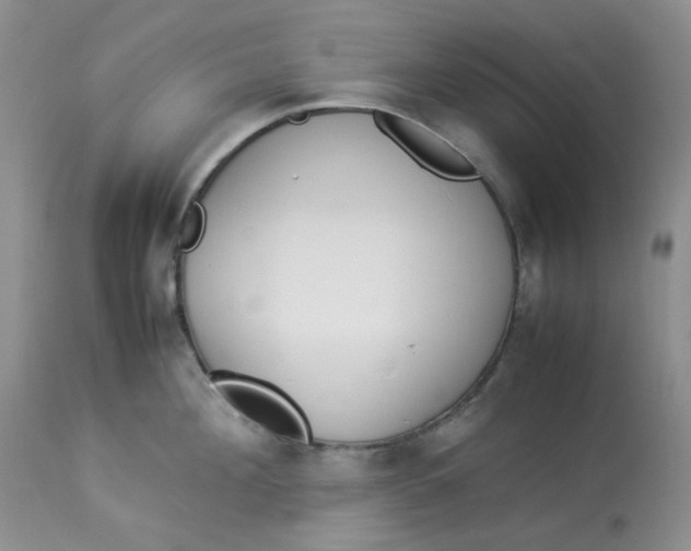 X0000112870908200909111530