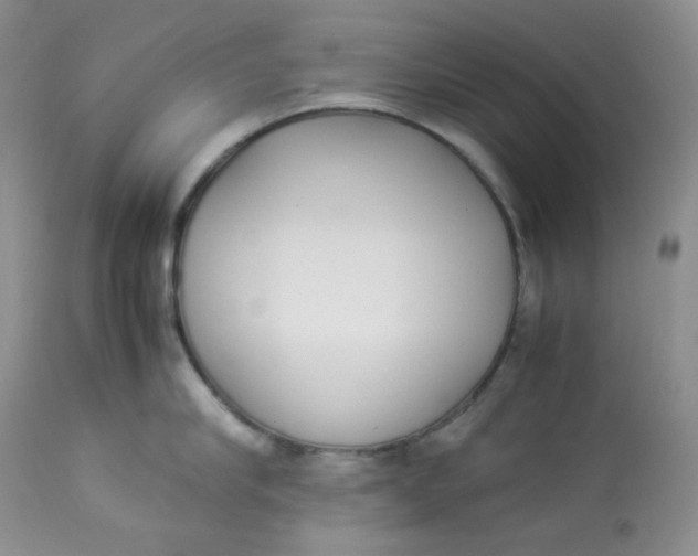 X0000112870910200909111529