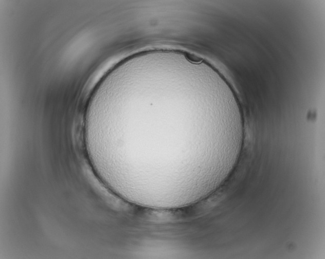 X0000112870911200909111529