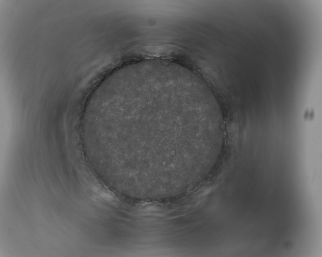 X0000112870913200909111529