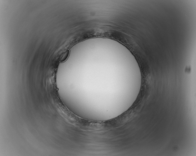 X0000112870914200909111529