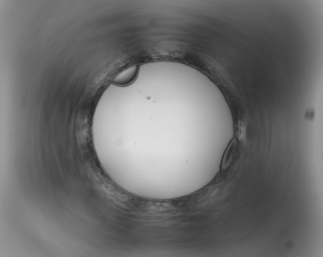 X0000112870915200909111529