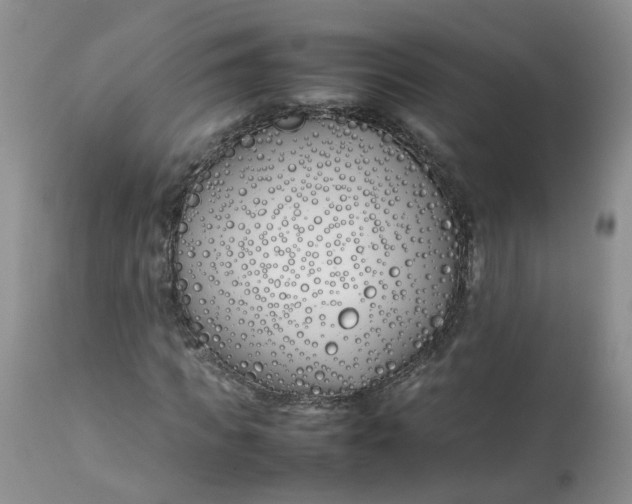 X0000112870917200909111529