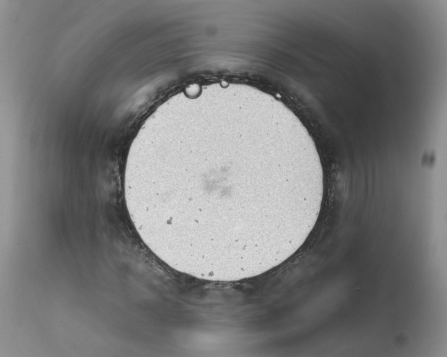 X0000112870918200909111529