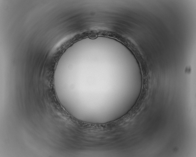 X0000112870919200909111529