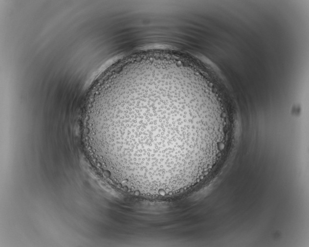 X0000112870921200909111529