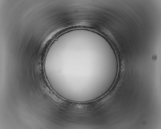 X0000112870923200909111529