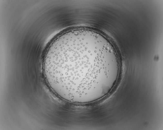 X0000112870925200909111529