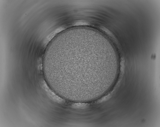 X0000112870929200909111529