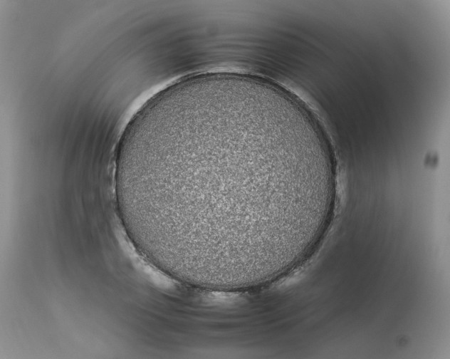 X0000112870933200909111529