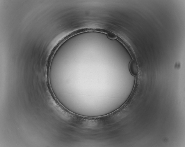 X0000112870935200909111529