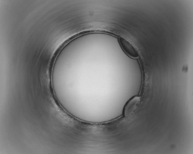 X0000112870936200909111529