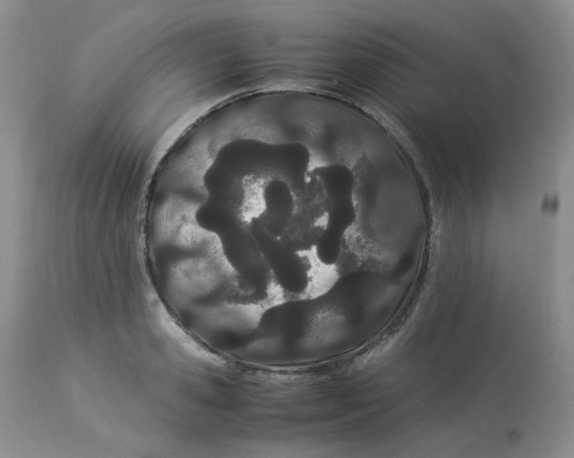 X0000112870941200909111529