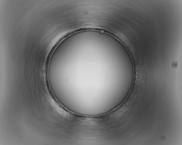 X0000112870942200909111529