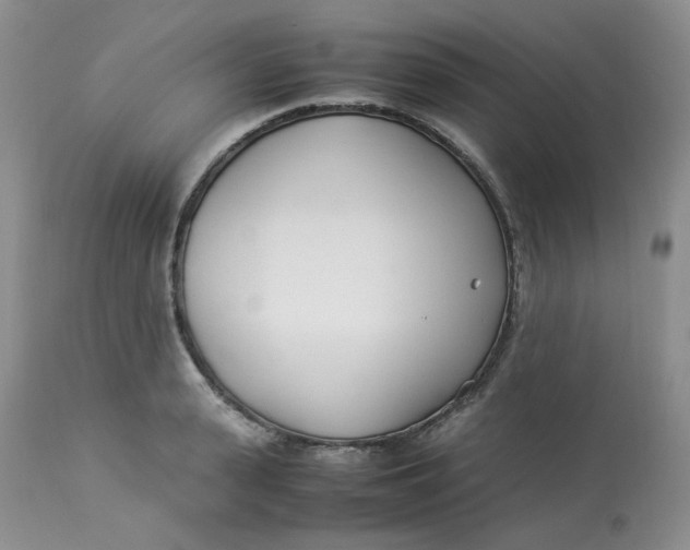 X0000112870943200909111529