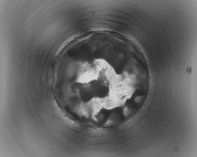 X0000112870945200909111529