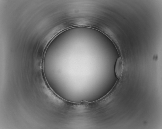 X0000112870946200909111529