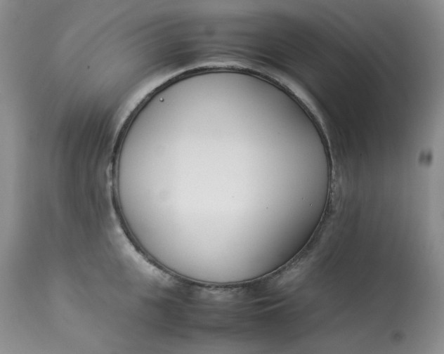 X0000112870951200909111529