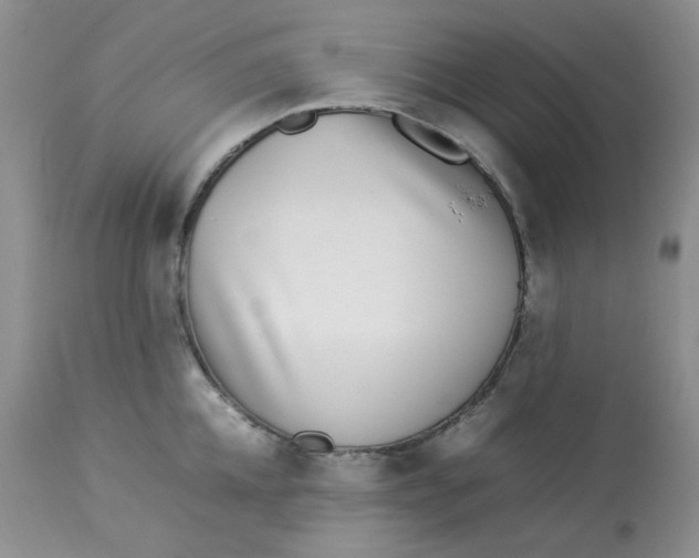 X0000112870952200909111529