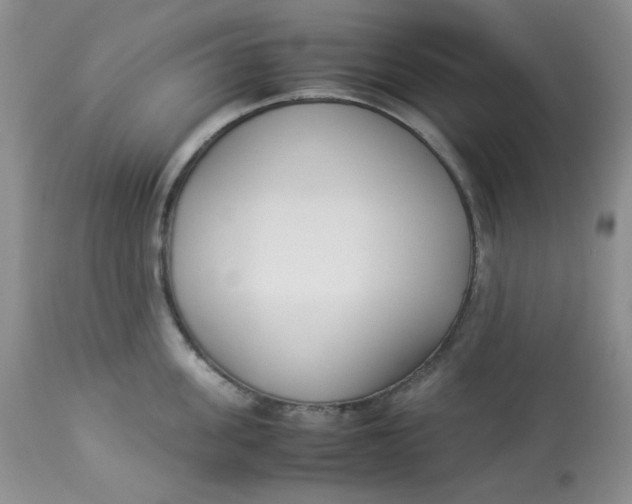 X0000112870955200909111529